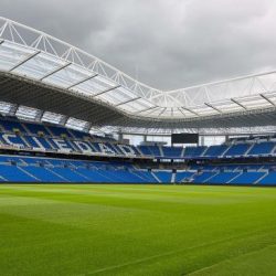 Cesped-de-Anoeta-4