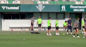 🚨 Un jugador presiona para salir del Betis