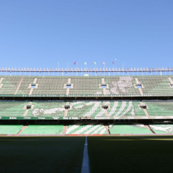 20260223_125315_0000